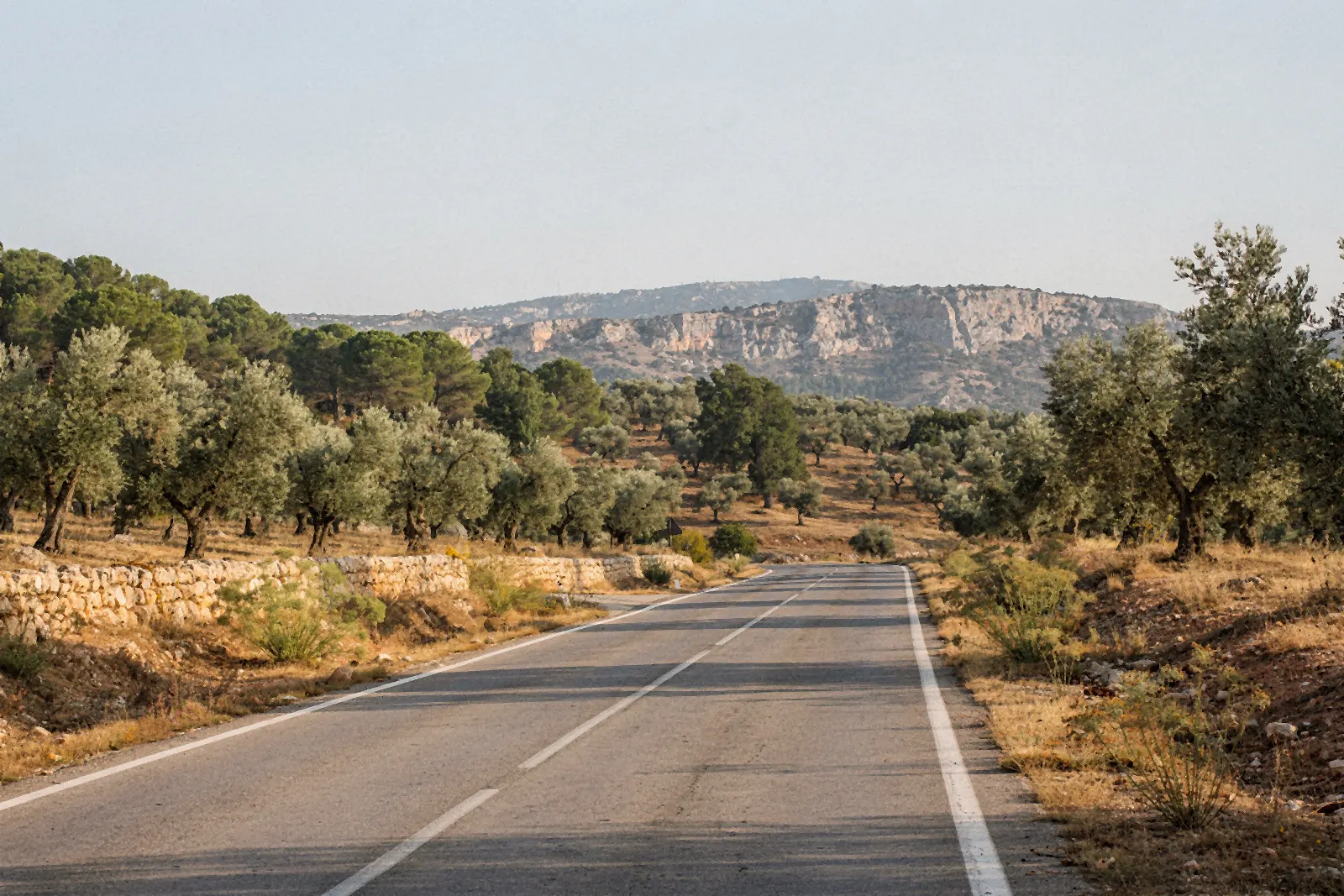 Carretera comarcal entre olivos y un muro de piedra seca, con la sierra al fondo (imagen ilustrativa)