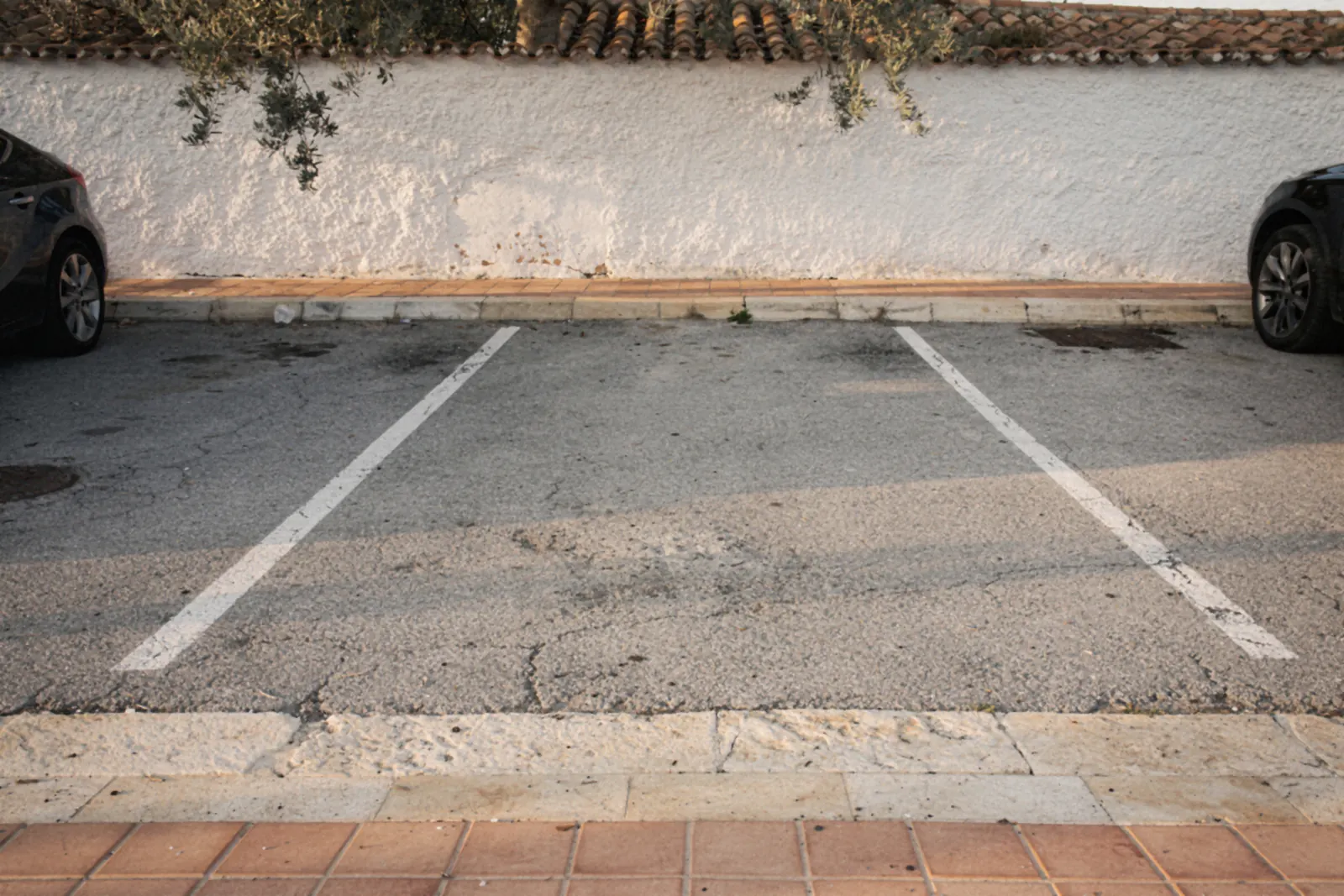 Plaza de aparcamiento vacía entre dos líneas blancas, junto a un muro encalado con ramas de olivo (imagen ilustrativa)